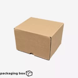 0.5 KG E-Commerce Box