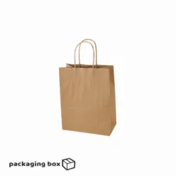 Kraft Paper Bag With Twisted Rope Handle (Small)