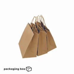 Kraft Paper Bag With Twisted Rope Handle (Small)