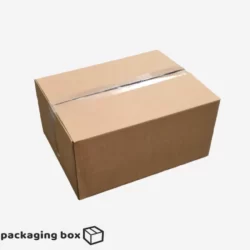 3 KG E-commerce Delivery Box