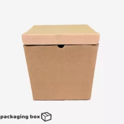 Cube Carton