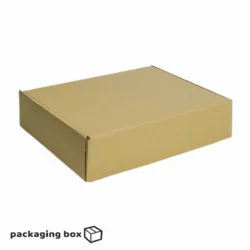 Brownie Box 10x10x4 inches