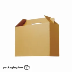 Kraft Multipurpose Box With Handle