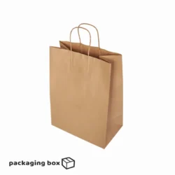 Kraft Paper Bag With Twisted Rope Handle (Medium)
