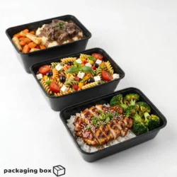 Disposable Black Plastic Food Container with Clear Lid