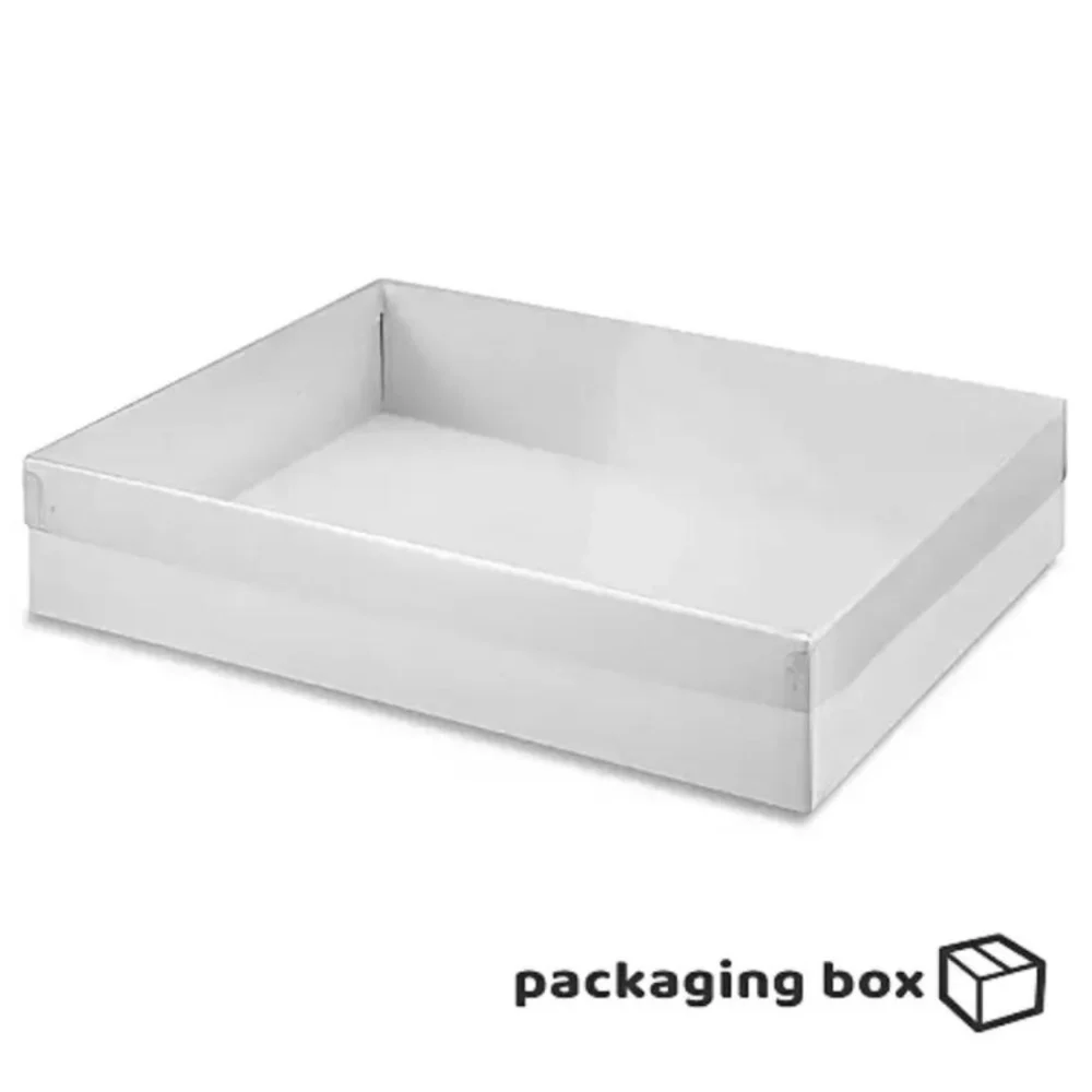 clear Lid Boxes (1)