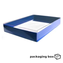 clear Lid Boxes (2)