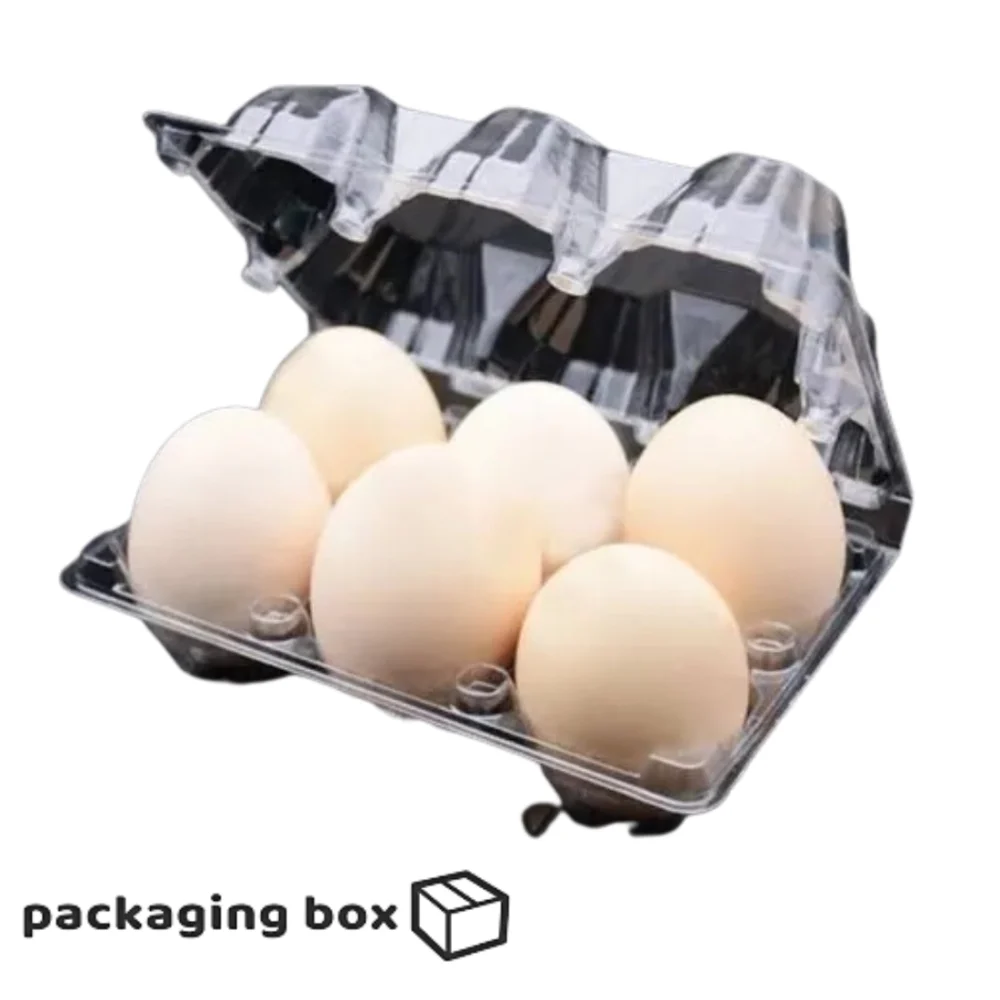Egg Transparent Cover tray (2)