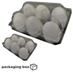 Egg Transparent Cover tray (4)