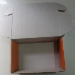 White corrugated box for packaging