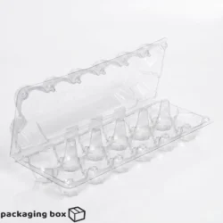 AMS clear transparent plastic 12 egg tray carton with flip-top lid for poultry farms and egg delivery packaging in Pakistan.