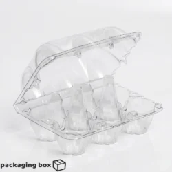 AMS clear transparent plastic 6 egg tray carton with flip-top lid for home bakers, boutique egg brands and retail packaging in Pakistan.