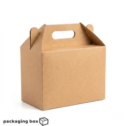 Natural brown kraft multipurpose carry box with built-in die-cut handle and two ventilation holes on top, displayed on white background — eco-friendly packaging box by Packaging Box Pakistan