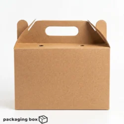 Natural brown kraft multipurpose carry box with built-in die-cut handle and two ventilation holes on top, displayed on white background — eco-friendly packaging box by Packaging Box Pakistan