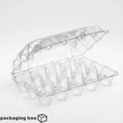 Krystalite transparent clear plastic 15 egg tray carton with flip-top lid for restaurants, catering and hotel kitchen egg packaging in Pakistan.