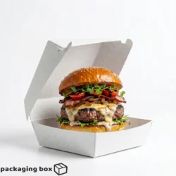 Patty and Zinger Burger Box food-grade cardboard packaging for restaurants, cloud kitchens, takeaway and food delivery in Pakistan.