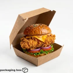 Patty and Zinger Burger Box food-grade cardboard packaging for restaurants, cloud kitchens, takeaway and food delivery in Pakistan.