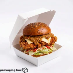 Patty and Zinger Burger Box food-grade cardboard packaging for restaurants, cloud kitchens, takeaway and food delivery in Pakistan.