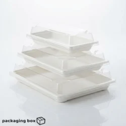 Bagasse Tray with Lid – Eco-Friendly Sugarcane Fiber Trays