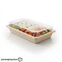 Bagasse Tray with Lid – Eco-Friendly Sugarcane Fiber Trays