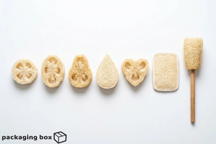 Different Loofah Shapes: Which One for Which Purpose? (Complete Guide)